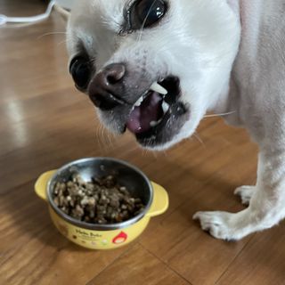 띵가띵가님이 올린 리뷰 사진 4