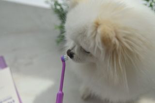 JAY님이 올린 리뷰 사진 2