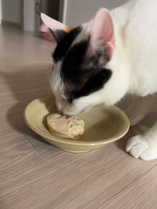 크리미님이 올린 리뷰 사진 1