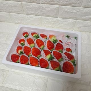 옳음 딸기 논산 설향 딸기 900g 산지직송 — 5점을 준 리뷰어가 2021년 1월 올린 사용 사진