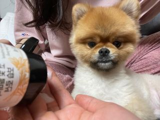 heea님이 올린 리뷰 사진 3
