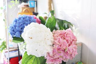 쩡이님이 올린 리뷰 사진 3