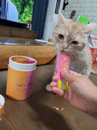 페페로니 맛있는 스틱 - 무항생제 닭고기 15개 + 알래스카 연어 15개 — 5점을 준 리뷰어가 2021년 9월 올린 사용 사진