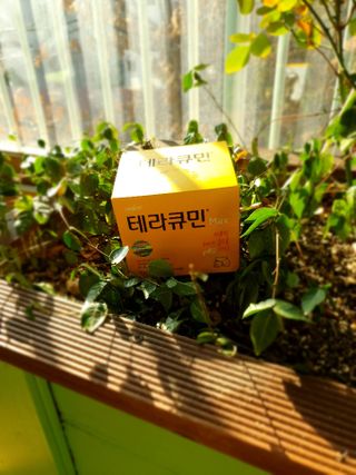 이쁜정똥이님이 올린 리뷰 사진 1
