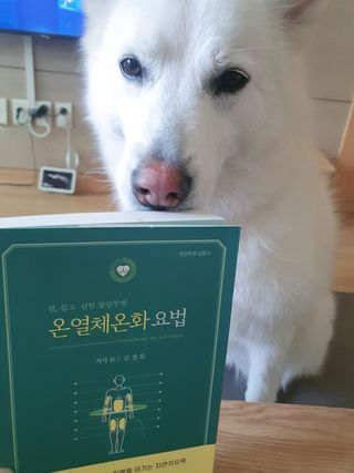 딸랑구둘🥰님이 올린 리뷰 사진 1
