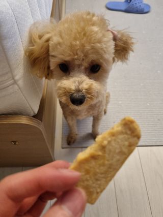 효효님이 올린 리뷰 사진 2