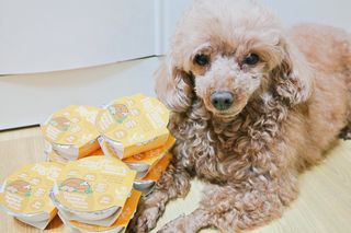 망고메론님이 올린 리뷰 사진 1