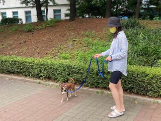베이컨박스 [BACON] 고아웃클럽 이지그립 리드줄, 목줄 세트-BLUE — 5점을 준 리뷰어가 2021년 7월 올린 사용 사진