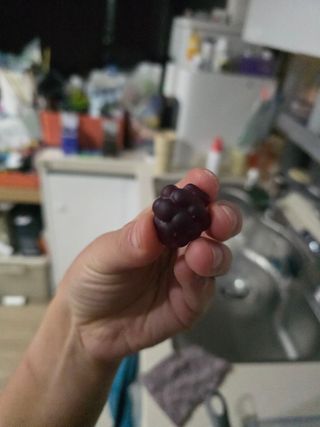 뚜디니님이 올린 리뷰 사진 2