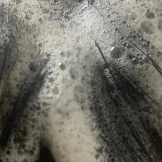 란다김님이 올린 리뷰 사진 3