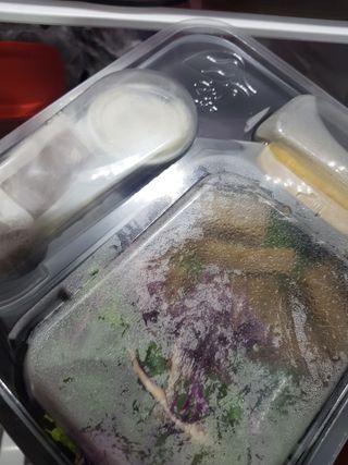 참살이도시락 작심삼일 샐러드도시락 3개 맛보기 새벽배송 또는 택배배송 — 5점을 준 리뷰어가 2021년 7월 올린 사용 사진