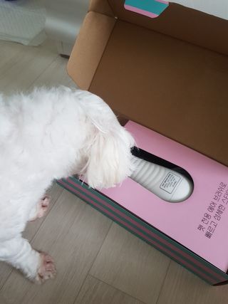 아베크 펫 강아지 고양이 애견 에어 브러쉬 드라이기 올인원 — 5점을 준 리뷰어가 2021년 7월 올린 사용 사진
