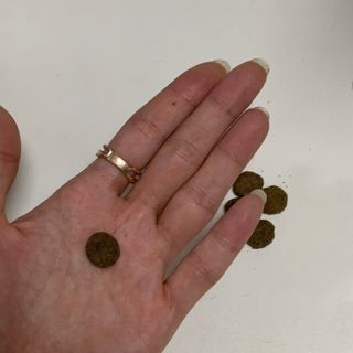 풀희띠님이 올린 리뷰 사진 4