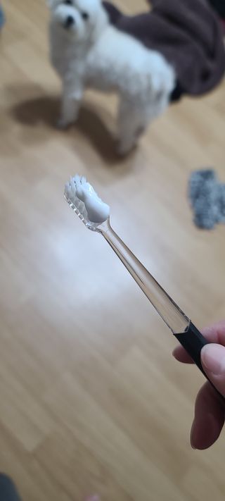 삐랭이님이 올린 리뷰 사진 4