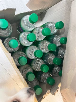 몽베스트 Montbest with Sparkling water Lime20병 — 5점을 준 리뷰어가 2021년 10월 올린 사용 사진