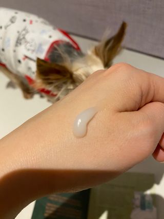 몽실이님이 올린 리뷰 사진 3