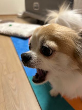 장효정님이 올린 리뷰 사진 2