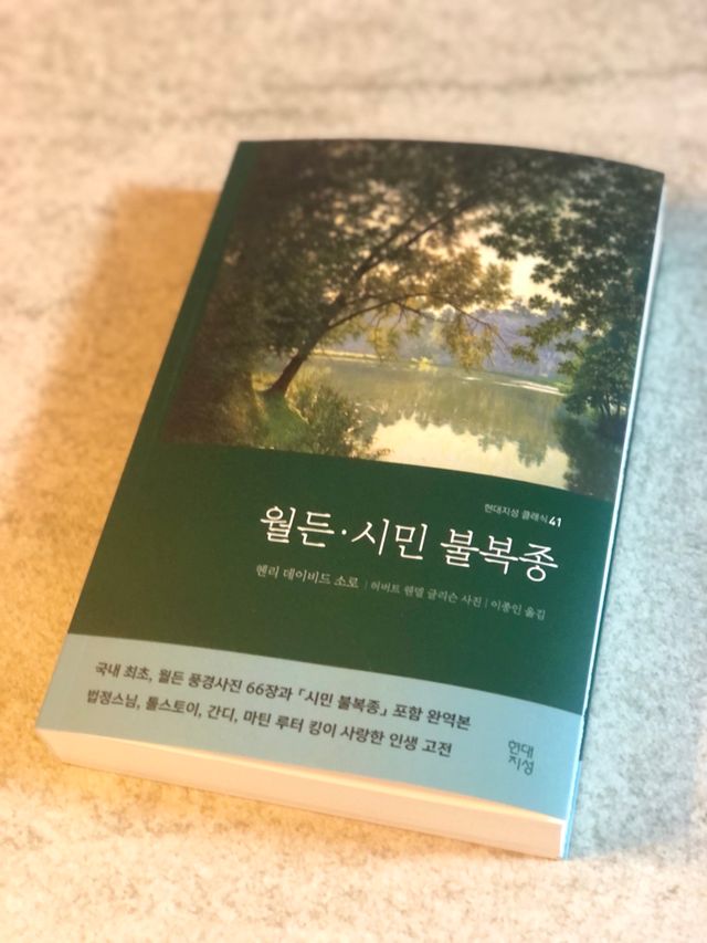 월든·시민 불복종 리뷰 사진