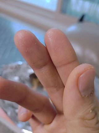 현이준이맘님이 올린 리뷰 사진 4