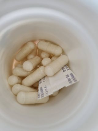 [Dr.PNT] 닥터피엔티 클레어랩스 프로바이오틱스 메타에프 [1개월분] — 5점을 준 리뷰어가 2022년 6월 올린 사용 사진