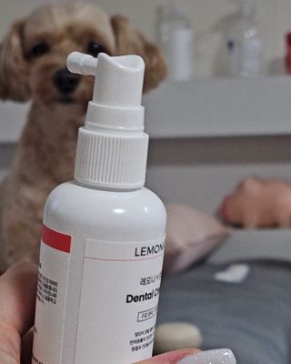 프리[경남제약 레모나x댕모어]  강아지 고양이 구취제거 충치 예방 덴탈클리너 120ml — 5점을 준 리뷰어가 2024년 7월 올린 사용 사진