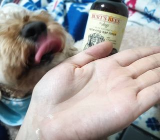란아님이 올린 리뷰 사진 2