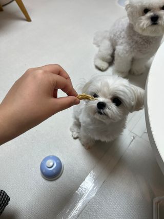 린짱님이 올린 리뷰 사진 3