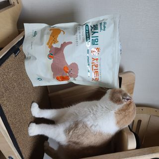 [펫시밀] 원물그대로 영양듬뿍 동결건조 왕북어트릿300g,왕치킨트릿400g,열빙어트릿300g 대용량 간식 — 5점을 준 리뷰어가 2023년 5월 올린 사용 사진