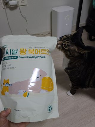 [펫시밀] 원물그대로 영양듬뿍 동결건조 왕북어트릿300g,왕치킨트릿400g,열빙어트릿300g 대용량 간식 — 5점을 준 리뷰어가 2023년 5월 올린 사용 사진