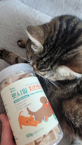 [펫시밀] 원물그대로 영양듬뿍 진공동결건조 북어트릿75g,치킨트릿100g,연어트릿75g 강아지 고양이 간식 — 5점을 준 리뷰어가 2023년 5월 올린 사용 사진