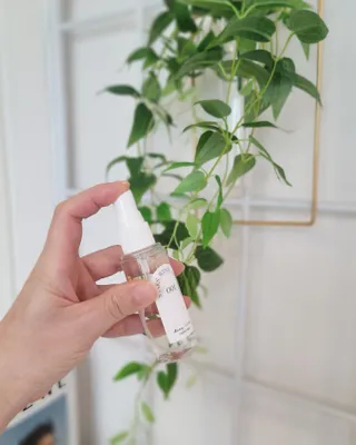 디어포레스트 [5개세트] 숲속의 하루 패브릭미스트 (섬유향수/ 룸스프레이) 50ml 5개 — 5점을 준 리뷰어가 2022년 9월 올린 사용 사진