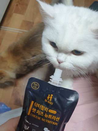 닥터할리 펫 치즈 뉴트리션 — 5점을 준 리뷰어가 2021년 10월 올린 사용 사진