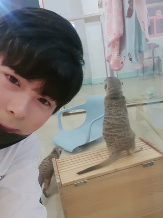 nike7113님이 올린 리뷰 사진 1