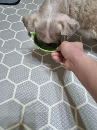진쓰님이 올린 리뷰 사진 4