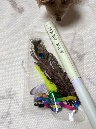 도토밤님이 올린 리뷰 사진 1