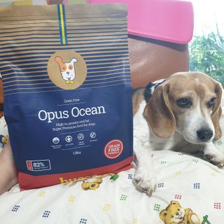beaglelove님이 올린 리뷰 사진 1