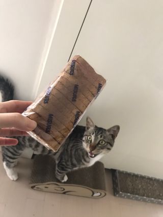 Er님이 올린 리뷰 사진 2