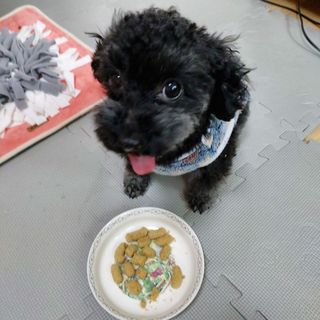 쓔리님이 올린 리뷰 사진 3