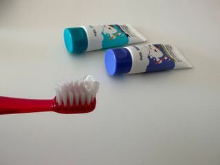 닥터데디스 안심불소 튼튼치약(청포도, 민트 중 택 1) 60g + 여행용 미니 치약 15g — 5점을 준 리뷰어가 2022년 12월 올린 사용 사진
