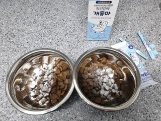 My Pet Care 장건강에 개좋아 — 5점을 준 리뷰어가 2021년 2월 올린 사용 사진
