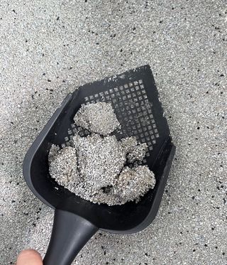 라기라기님이 올린 리뷰 사진 3
