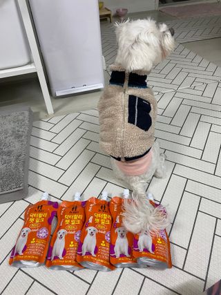 댕댕이님이 올린 리뷰 사진 2