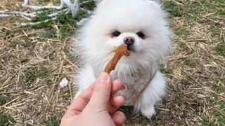 비니씨님이 올린 리뷰 사진 3