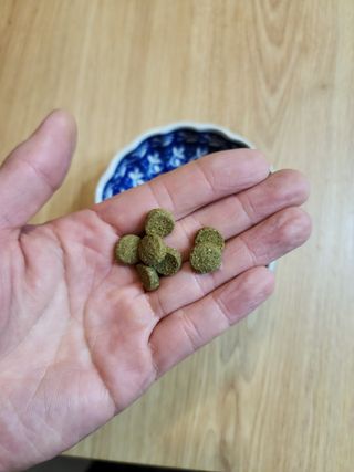 캐닌캐비어 알카라인 홀리스틱 그레이프리 앙뜨레 ALS_4종 오픈스카이, 와일드오션, 프리스피릿, 스페셜니즈 — 4.5점을 준 리뷰어가 2023년 4월 올린 사용 사진