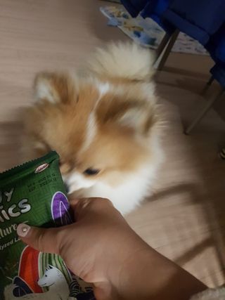 이긍정님이 올린 리뷰 사진 3