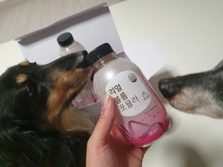 일삼마미뽕님이 올린 리뷰 사진 2