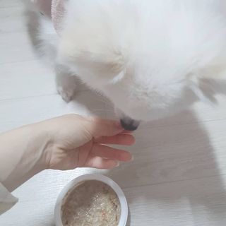 또왔엉님이 올린 리뷰 사진 4