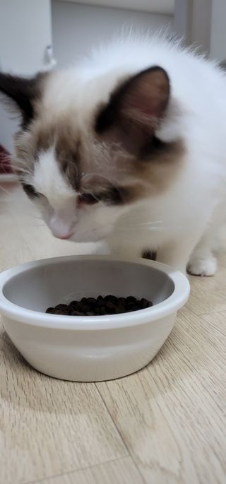 third29님이 올린 리뷰 사진 4