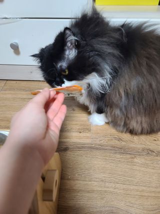 릴리님이 올린 리뷰 사진 4