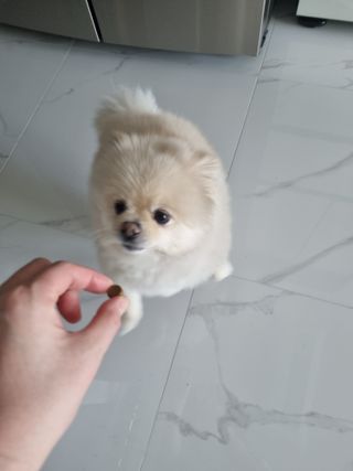 고이든님이 올린 리뷰 사진 3